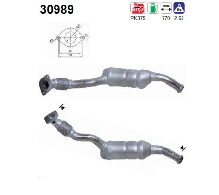 AS 30989 Katalysator