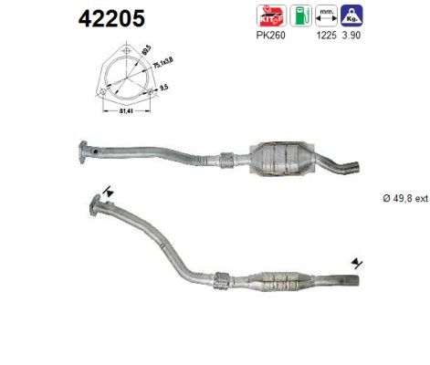 AS 42205 Katalysator