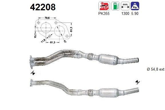 AS 42208 Katalysator