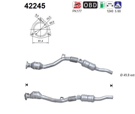 AS 42245 Katalysator
