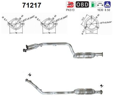AS 71217 Katalysator