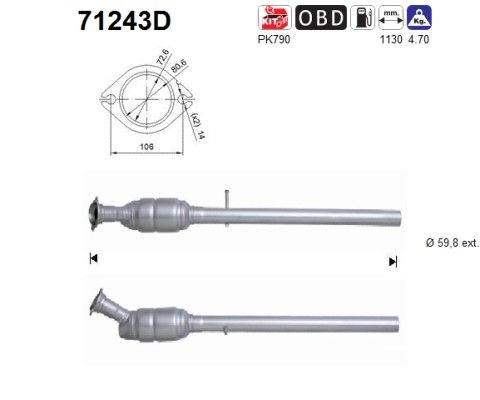 AS 71243D Katalysator