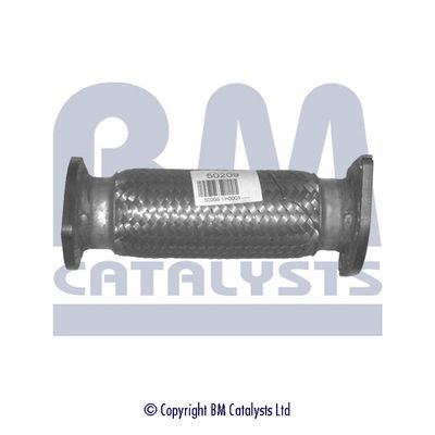 BM Catalysts BM50209 Uitlaatpijp