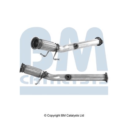 Bm catalysts (bm) 31338231