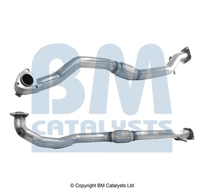 Bm catalysts (bm) 2001054C25
