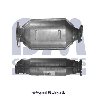 Katalysator 289503E020