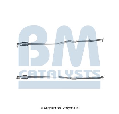 Homologated Petrol Cat 28699D7650