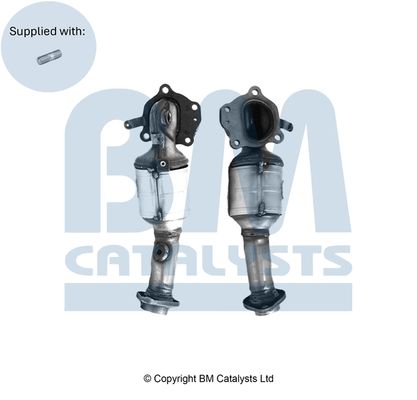 Homologated Petrol Cat 2505147190