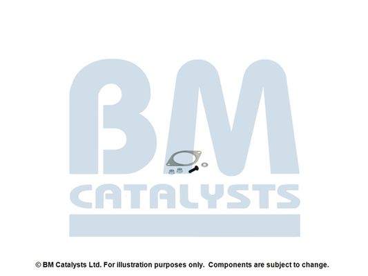 BM Catalysts FK11173B Montageset roetfilter
