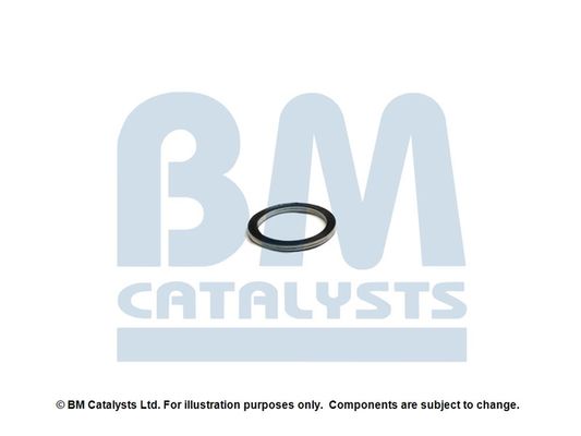 BM Catalysts FK11384A Montageset roetfilter