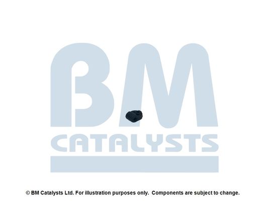 BM Catalysts FK93074A Montageset, katalysator